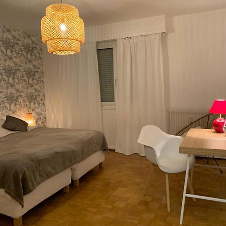 Appartement Centre-Ville กอลมาร์ ภายนอก รูปภาพ