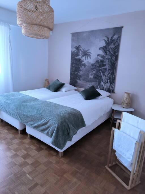 Appartement Centre-Ville กอลมาร์ ภายนอก รูปภาพ